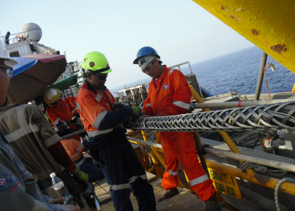 中国·3044永利集团(集团)有限公司-官方网站