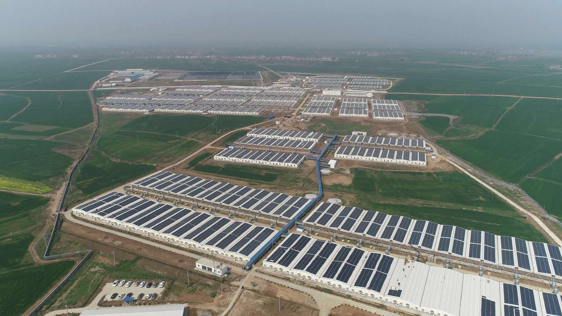 中国·3044永利集团(集团)有限公司-官方网站