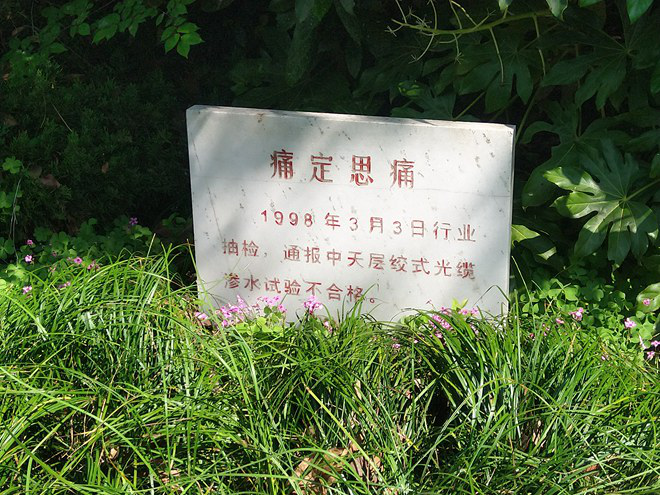 中国·3044永利集团(集团)有限公司-官方网站