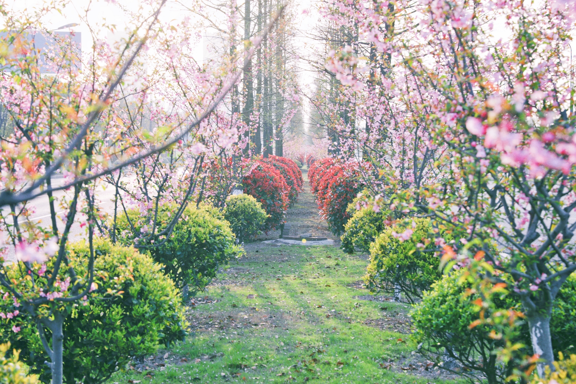 中国·3044永利集团(集团)有限公司-官方网站